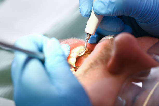 Best Emergency X-Rays and Diagnostics in Oak Ridge, TN