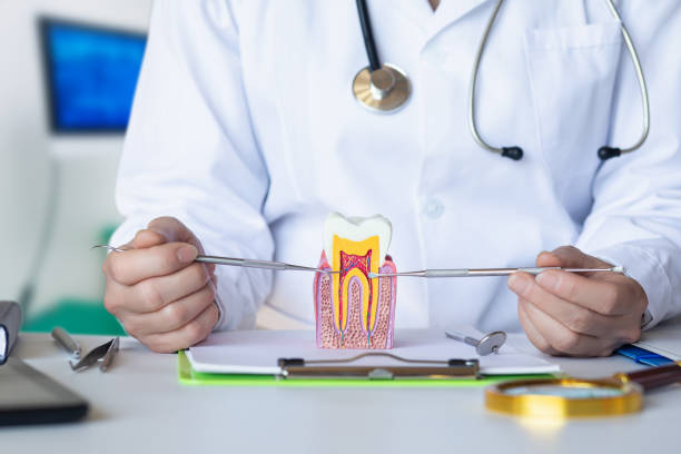 Best Emergency Denture Repair in Oak Ridge, TN